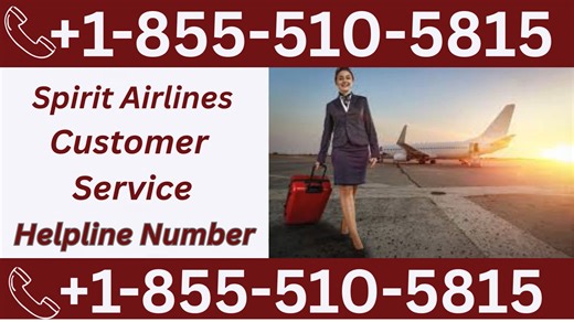 Official Spirit Airlines ® Customer Service: How to Contact Spirit Airlines ® | 24/7 Live Help & Support