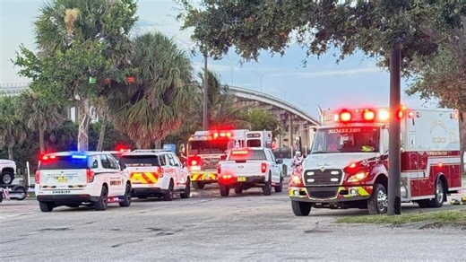 Florida woman bitten, pulled under water by a alligator. What to do if a gator bites you