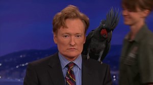 柯南秀-动物特辑 - CONAN on TBS
