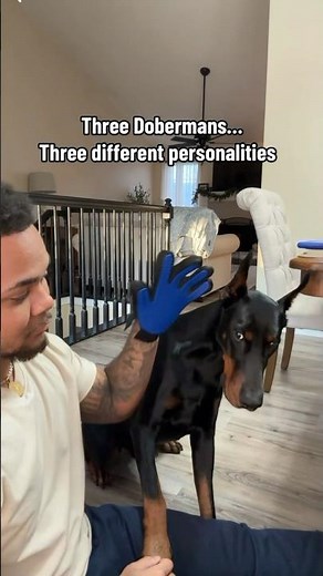 It’s crazy how different they are!😳💀😂 #shorts #reels #explore