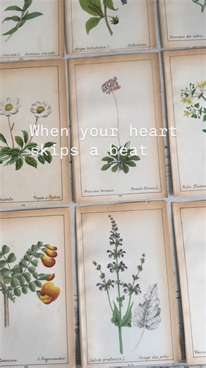 Helen on Instagram: "The most beautiful old botanical plates from France, dating back to the 1800’s. I will be keeping a few back to inspire my own artwork and to frame and continue to admire but a collection of these will be available to purchase later today. #frenchephemera #botanical #illustration #stylingideas #springinspiration"