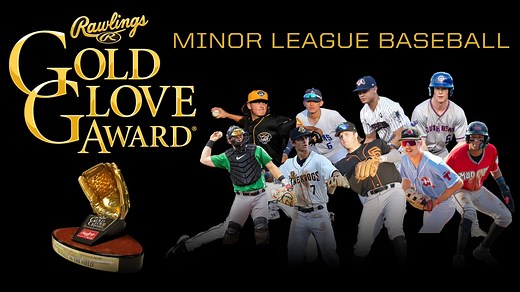Rawlings Gold Glove Recipients