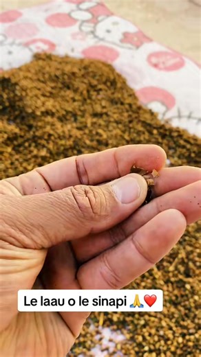 Laau o le sinapi i Petania | Vincent Jr Schmidt : Faasoa Manuia