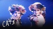 Macavity the Mystery Cat Part 1 Cats the Musical