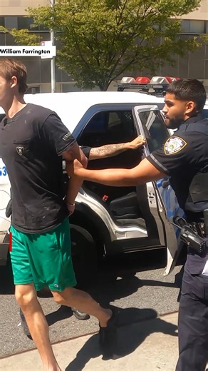 The troubled son of Norman Reedus and Helena Christensen, Mingus Reedus, was hit with additional charges as prosecutors said that he choked his girlfriend with such force that he lifted her off the ground inside their swanky Chelsea apartment. https://trib.al/sIzzWGz | New York Post