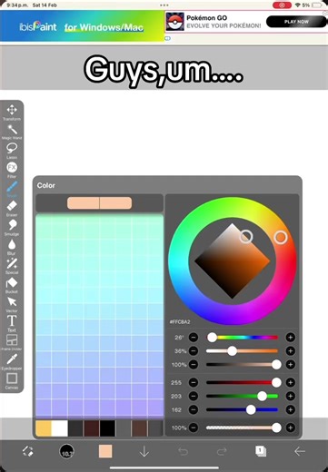 I FINALLY HAVE THE COLOR PALLETE-