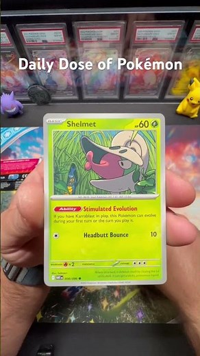 Daily Dose of Pokémon - WHITE FLARE PACK OPENING – Hunting the FLAREON EX FIRE GRAIL! ✨🦊