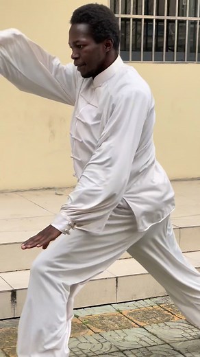 27K views · 1.3K reactions | La poésie du kung-fu partie 4 Vient...