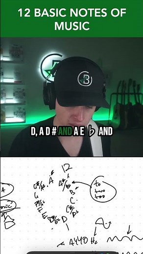 The 12 basic notes of music.