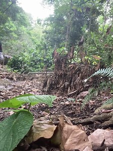 se le ven los b0toncitos | Erika Videos