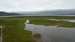 Scenic Drone shot of the Aleutian Islands, bears and wolves hunting salmon in a shallow lagoon of in the Aleutian Islands, Alaska.