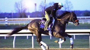 Hot Rod Charlie: What to know about the 2021 Kentucky Derby horse