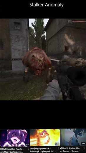 Stalker Anomaly gameplay-clip