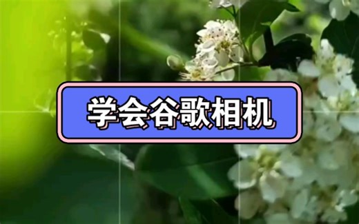 学会谷歌相机，玩懂谷歌相机