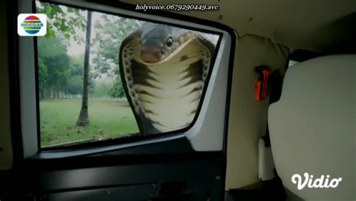 Sari: Top Movie Recommendations for Film Lovers