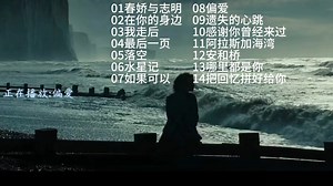 2025年抖音近期热门爆火emo歌曲合集，爆火emo歌单｜深夜破防专用，每首都唱到心里！