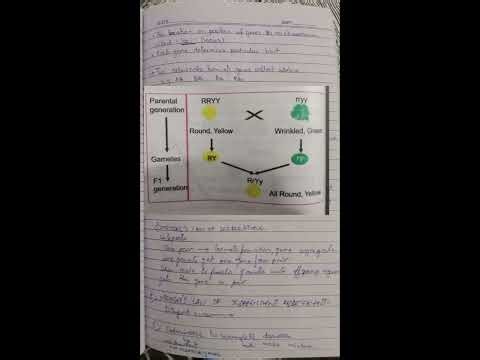One shot chapter inheritance class 10 ptb book biology by learn sciences