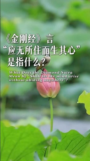 《金刚经》言“应无所住而生其心”是指什么？