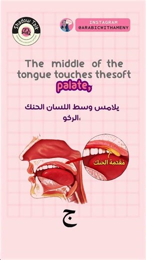 Master Arabic Pronunciation: How to Say the "Jeem" ج Sound (Shadowing Method)