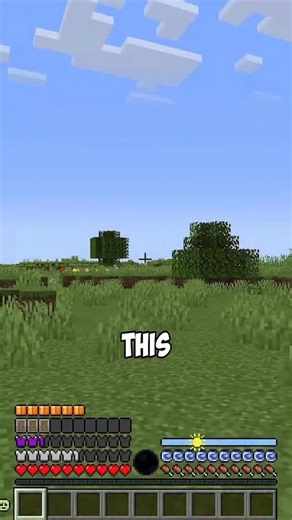 MC91 | this gamz adds more bars #minecraft #minecraftmemes #minecraftpe | Instagram