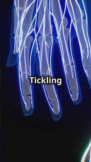The Science of Why We Feel Ticklish