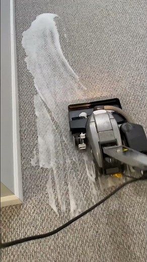 Kirby Gsix performance carpet shampoo System.