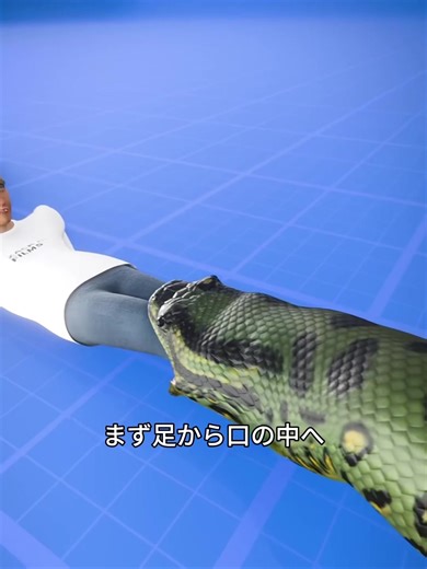 蛇に飲み込まれた場合の体の反応