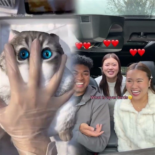 Word chain challenge👀 #funny #funnyvideo #comedy #comedyvideo #trend #game #challenge #fun #family