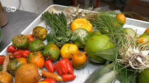 Gourmet Cuisine from the Rainforest