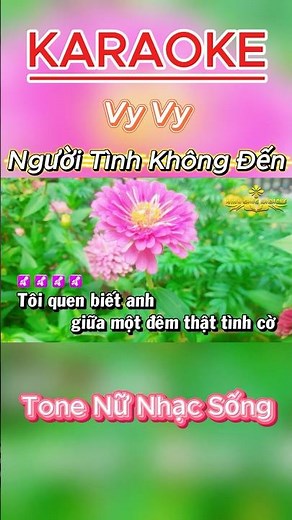 Người Tình Không Đến Tone Nữ Nhạc Sống | Beat Chuẩn Dễ Hát #karaoke #bolero #tonenu #nhacsong