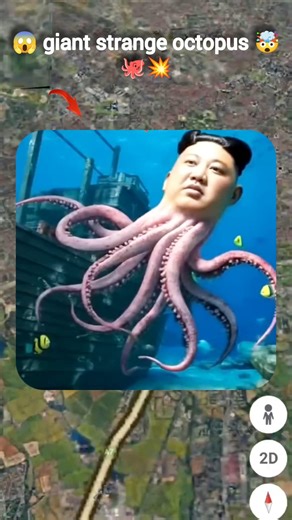 😱 giant strange octopus 🤯 on Google maps and Google Earth 🌍