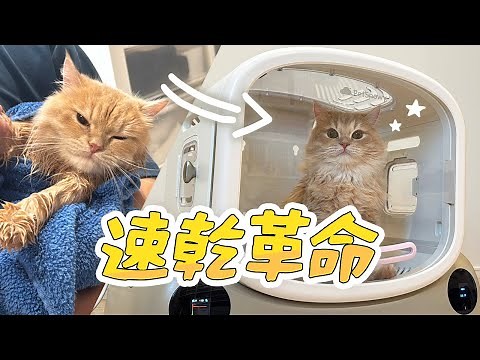 【速乾】ペットドライヤーハウス実使用レポ！