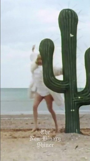 Man-Eating Roll-Top Writing Desk | Scott of the Sahara Monty Python's Flying Circus #montypython