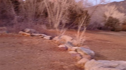 Colorado Parks and Wildlife on Reels