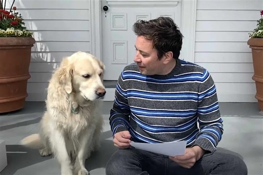 Jimmy Fallon mourns death of his beloved dog Gary: 'She was our first baby'