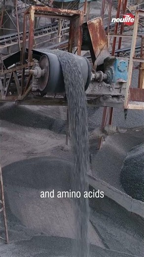 15. R/ Magnesium/ Chelated Magnesium