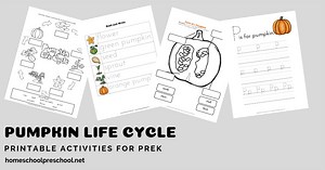 Free Pumpkin Life Cycle Printable Pack for Preschool