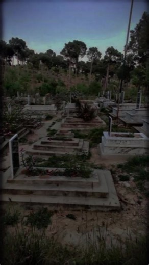 Inspirational Islamic Status Videos