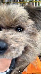 Instagram video by Hacker T Dog • May 6, 2021 at 11:25 AM