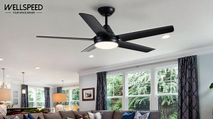 Watch Black Ceiling Fan with Lights and Remote Control 48 inch on Amazon Live