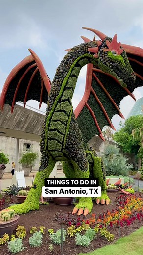🌿Things To Do in San Antonio🌿 Check out the gorgeous San Antonio Botanical Garden! They have a stunning new exhibit “Imaginary Worlds: Once Upon A Time.” A beautiful display of a giant plant kingdom! 🐉🧜🏻‍♀️🦄🦚🌼🌿 The Botanical Gardens is always one of my favorite stops and highly recommend it anytime of the year. 🫶🏻 #sanantonio #sanantoniotx #sanantoniotexas #satx #thingstodoinsanantonio | S.A.Foodie