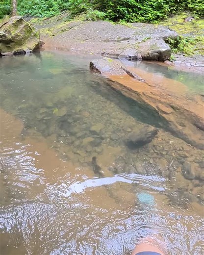 No Pudimos Llegar a la Cascada en Maricao Puerto Rico 🇵🇷 Recuerden que todos estos videos completos están disponibles en mi canal de YouTube. Ahí pueden ver cada contenido sin cortes, con toda la información detallada y en la mejor calidad. ¡Los espero por allá! | ElSuperRafa