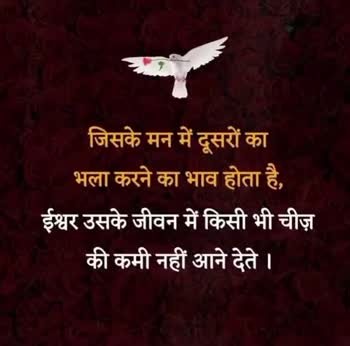 Best Sher Chet, Video Status | Download - Seema