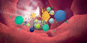 From discovery to functional assays: therapeutic antibody research by Miltenyi Biotec