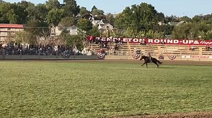 129K views · 4.5K reactions | How would I describe the￼ Pendleton...