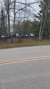 1M views · 3.1K reactions | An Ely police officer recorded video footage of multiple wolves running down a residential road last week. The department shared the close encounter and used it to remind residents: "Seems like a good opportunity to remind everyone of Ely’s leash law." | Fox 9 | Facebook