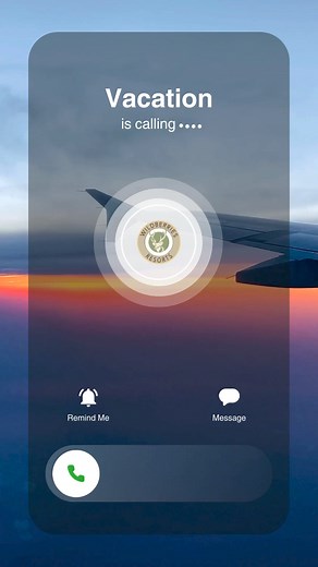 142 reactions | Plan your vacation with Wildberries Resorts! A "Single" package for "Three" fabulous destinations for an absolutely amazing experience. | Ratapani Jungle Lodge | Facebook