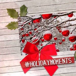 7.8K views · 221 reactions | From our family to yours, may your day be merry and bright weather fans! Happy Holidays and Merry Christmas from all of us at The Weather Network ❄️ | The Weather Network | Facebook