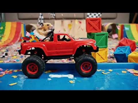 Hamster's RC Stunt Show Epic Jumps and Obstacle Course Mayhem!
