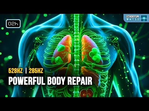 The Frequency Scientists Call the “Cell Repair Tone” | 528Hz + 285Hz + Alpha | Full Body Healing
